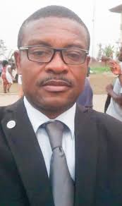 Minka WANDA IIdevert